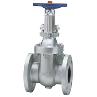 Gate Valve CI 125-FCL KITZ Japan